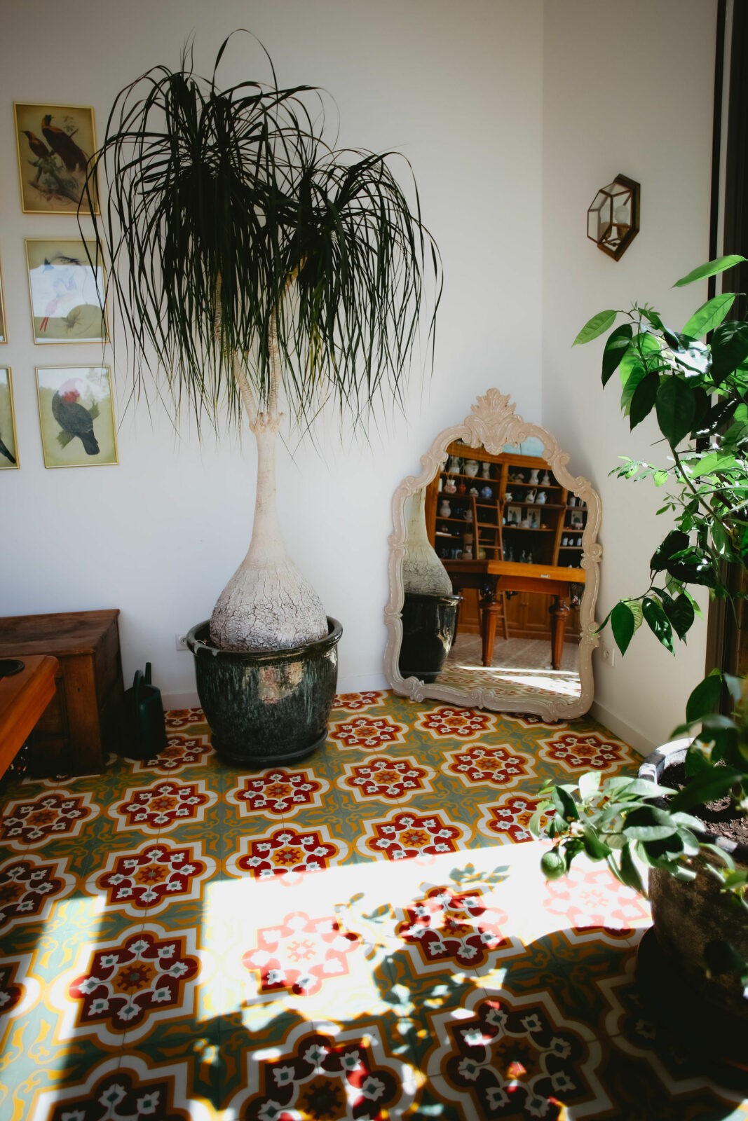 HD-20220415-carocim-aix-maelysizzo-137 photograohe corpo carocim maelys izzo aix en provence photo interieur
