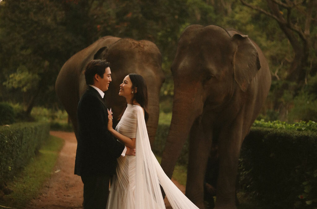 A jungle wedding in Thailand at Anantara Golden Triangle